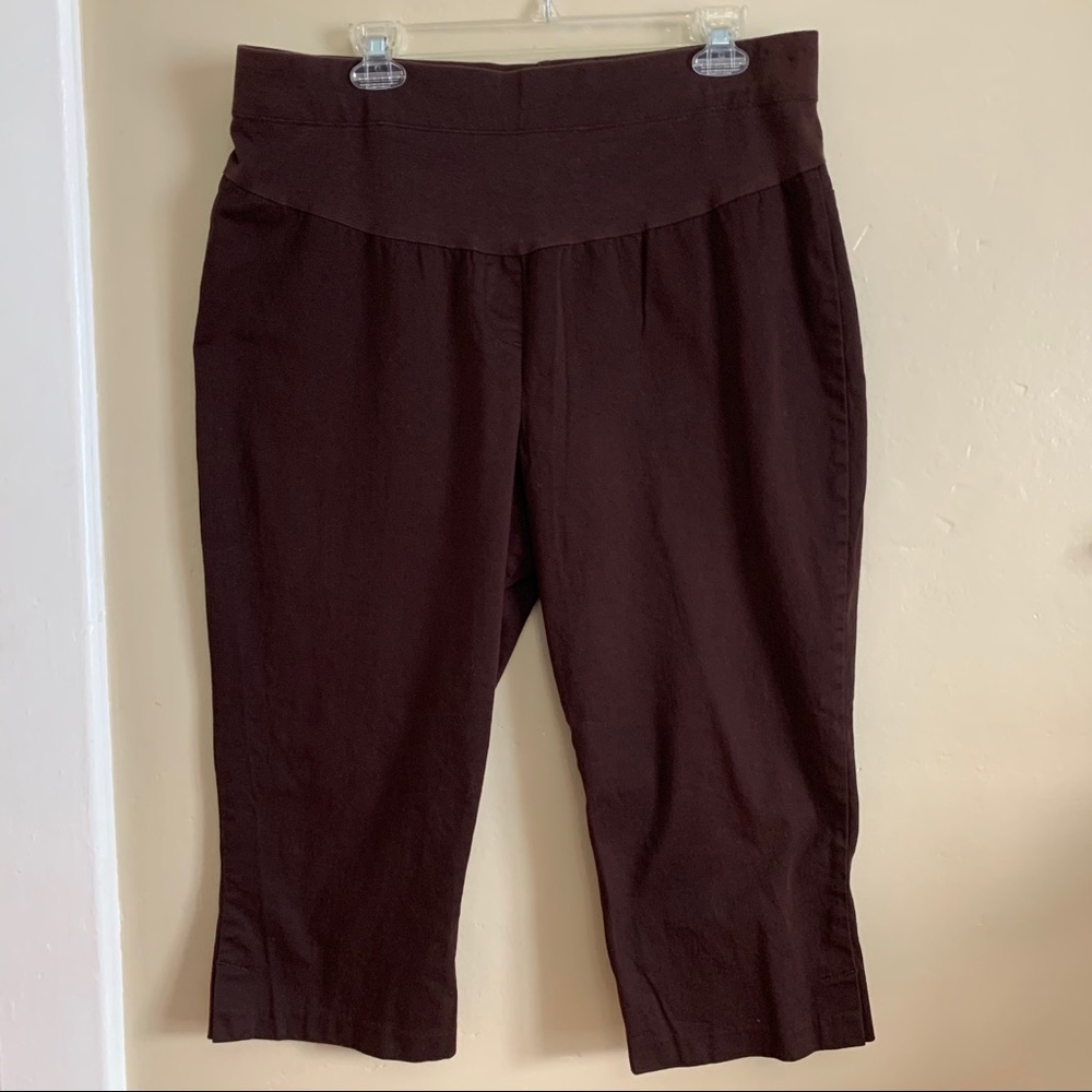 Motherhood Pants Brown Stretch Normcore Everyday Capri Large